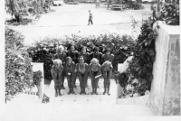 AY041