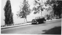 AY481