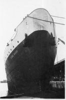BT733