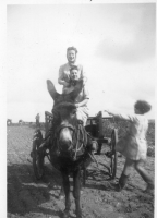 BU342