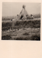 BU547