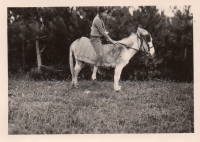 BV305