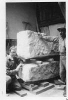 BV594