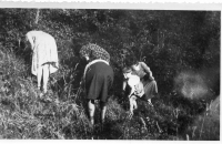 BW221