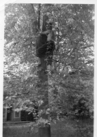 BW254