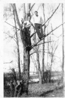 BW648