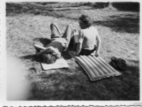 BW913