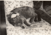 BW934