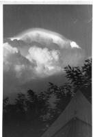 BW983