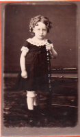 CDV7336