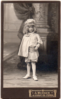 CDY3440
