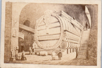 CDY3805