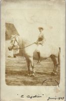 CPP10263