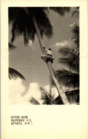 CPP10328