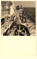 CPP10379