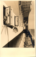 CPP10381