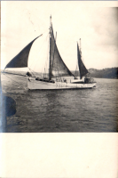 CPP10965
