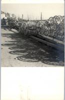 CPP10968