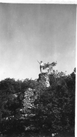 CR596