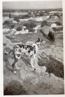 CW484