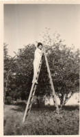 EN648