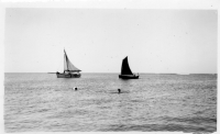 EO220