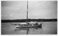 ER231