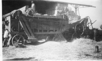 ER337