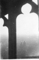 ES290