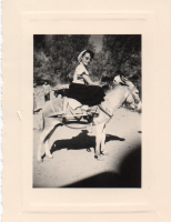 ES291