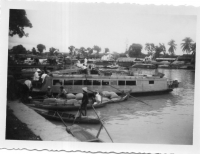 EV236