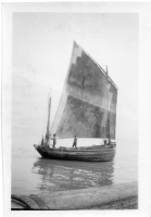 EV369