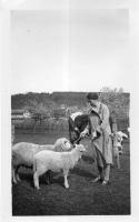 EV434