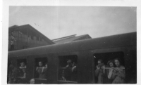 EV519