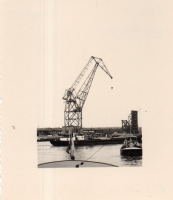 EV955