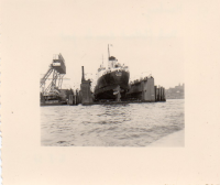 EV987