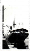 EY195