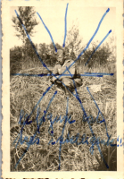 EY937