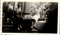 FA066