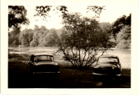 FB242