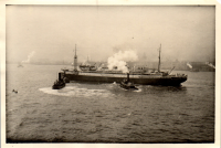 FP0367