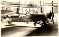 FP0381
