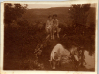 FP0600