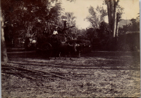 FQ0561