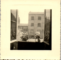 FQ0811