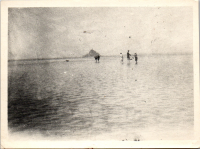 FR0035