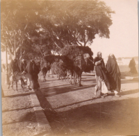 FR0260