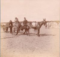 FR0299