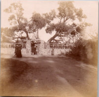FR0301