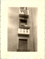 FR0328